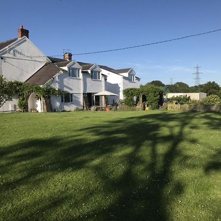 Brynawel Farm B&B Pontlliw Exteriör bild