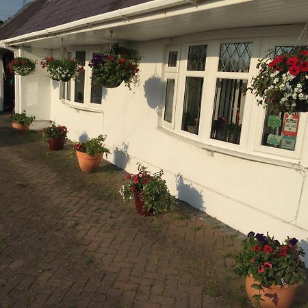Brynawel Farm B&B Pontlliw Exteriör bild