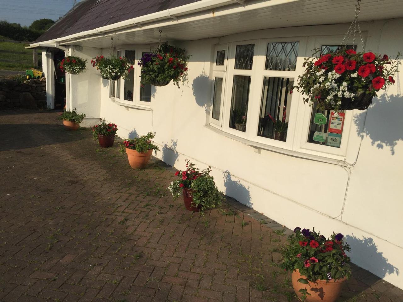 Brynawel Farm B&B Pontlliw Exteriör bild